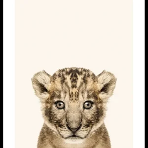 Baby Lion Poster Heißes Angebot