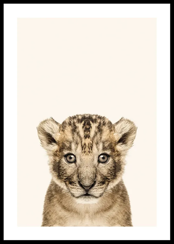 Baby Lion Poster Heißes Angebot