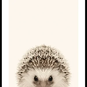 Baby Hedgehog Poster Heißes Angebot