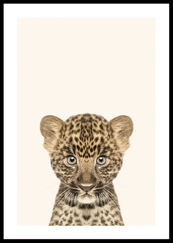 Direkt Vom Hersteller Baby Leopard Poster