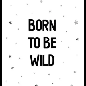 Born To Be Wild Poster Letzte Chance