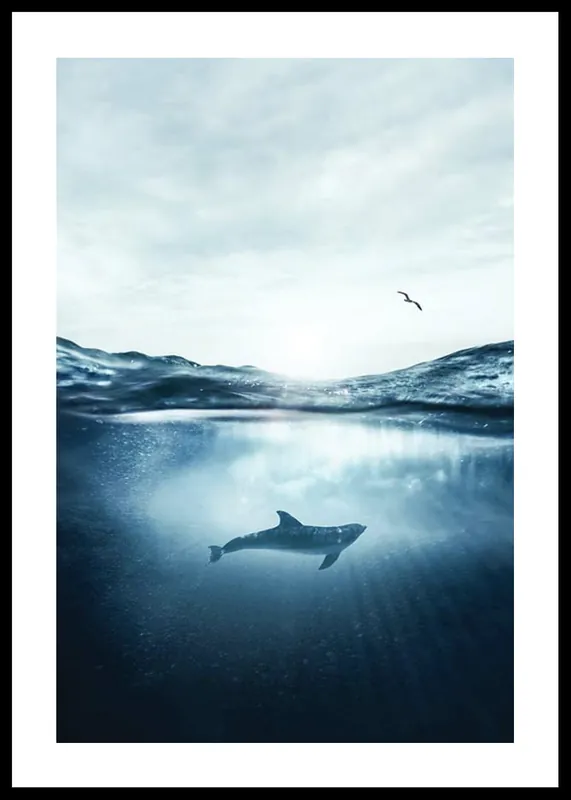 Dolphin And Seagull Poster Kostenloser Versand