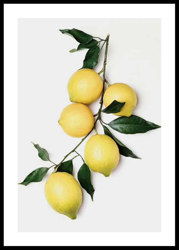 Lemons With Leaves Poster Online Kaufen