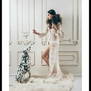 Dalmatian Poster Bestpreis