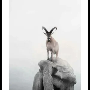 Intent Ibex Poster Meistverkauft