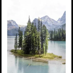 Top-Seller Spirit Island Poster