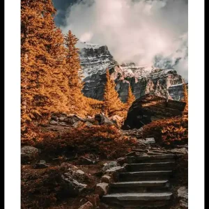 Neue Ware Autumn Wilderness Poster