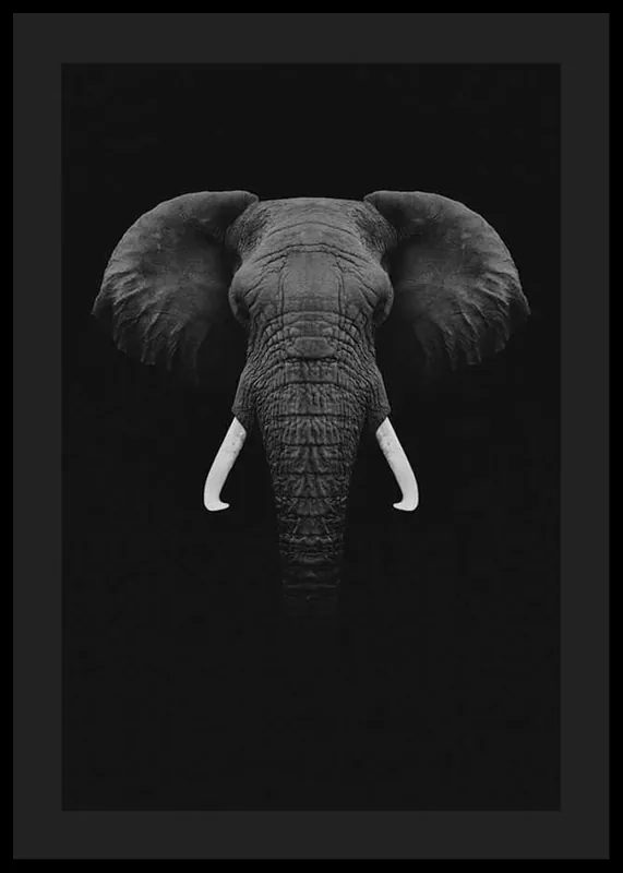 Preiswert Black Elephant Poster