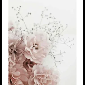 Top-Seller Roses In Pink Poster