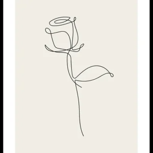 Line Art Rose Poster Neu Im Sortiment
