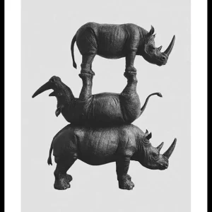 Three Rhinos Poster Kostenloser Versand