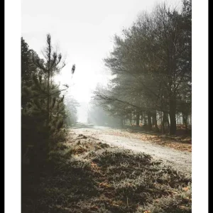 New Forest Poster Nur Heute