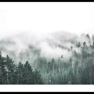 Schnäppchen Forest Valley Poster