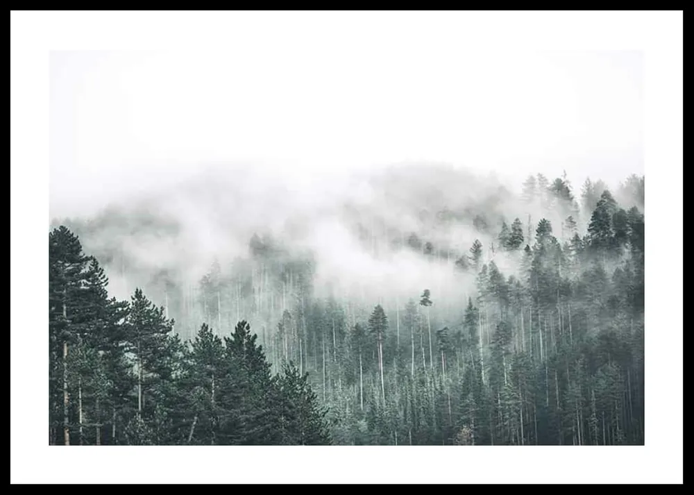 Schnäppchen Forest Valley Poster