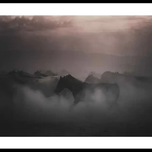 Bestseller Sunset Horses Poster