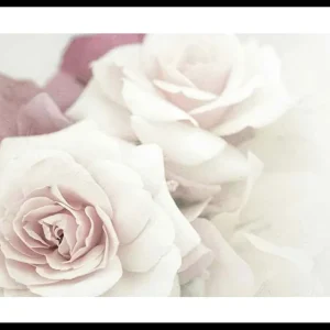 Perfect Pair Roses Poster Jetzt Kaufen