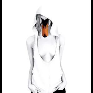 Preisreduziert Sanna Wieslander Swan Lady Poster