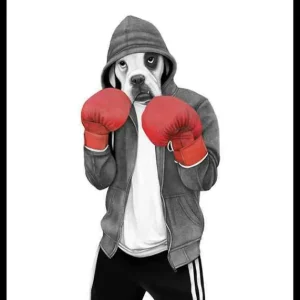 Sanna Wieslander Street Boxer Poster Preis Gesenkt