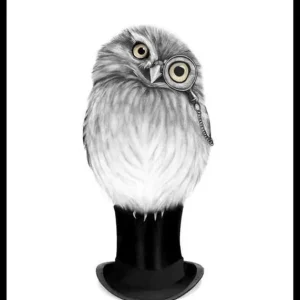Jetzt Kaufen Sanna Wieslander Sharp Eyed Owen Poster