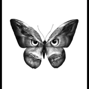 Must-Have Sanna Wieslander Owlifly Poster