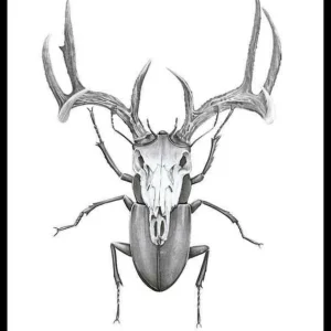 Sonderangebot Sanna Wieslander Mr Stag Beetle Poster
