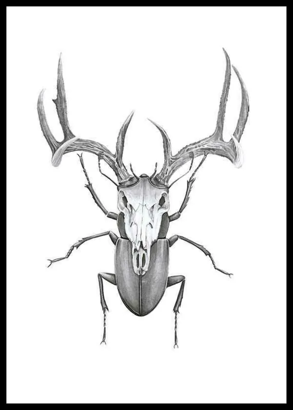 Sonderangebot Sanna Wieslander Mr Stag Beetle Poster