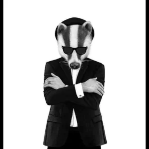 Jetzt Bestellen Sanna Wieslander Blues Badger Poster