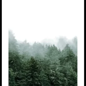 Misty Forest Poster Finale Aktion