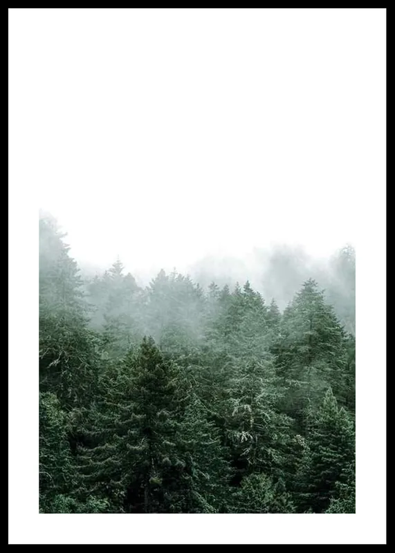 Misty Forest Poster Finale Aktion