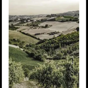 Gironde Poster Günstig