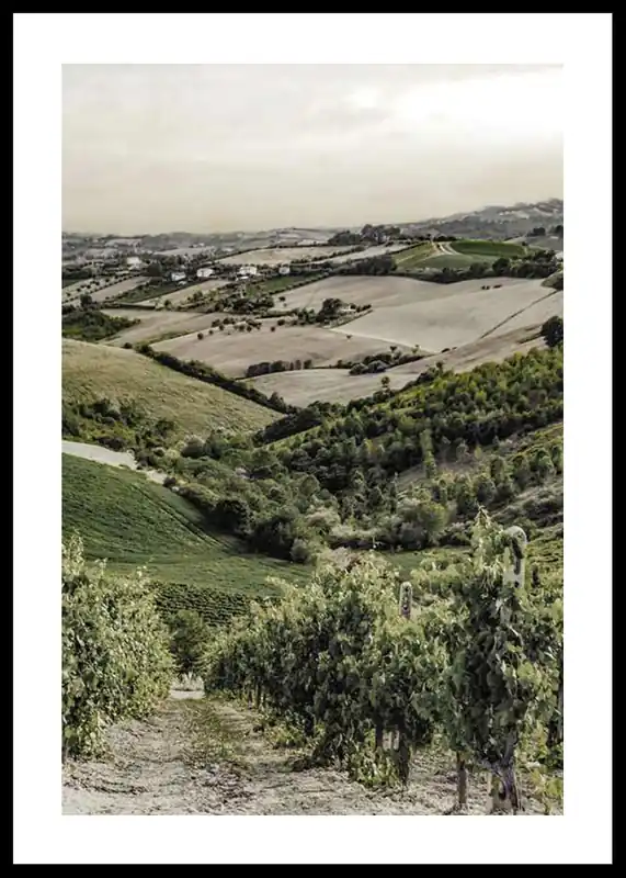 Gironde Poster Günstig