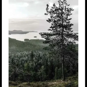 Sofort Bestellen Lieksa Poster