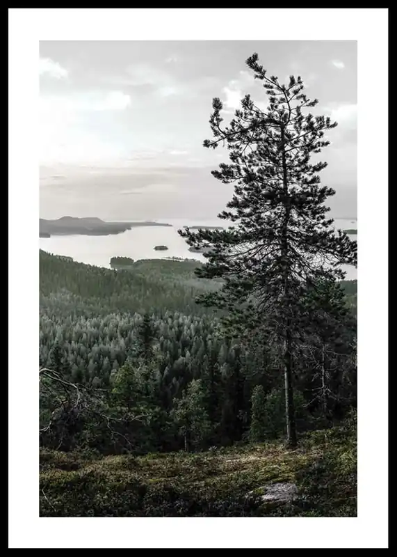 Sofort Bestellen Lieksa Poster