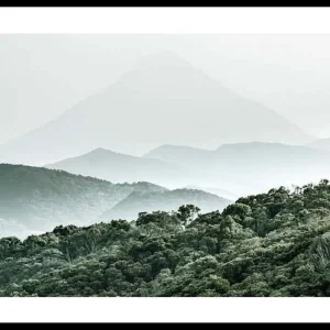 Mountain Forest Poster Bestseller