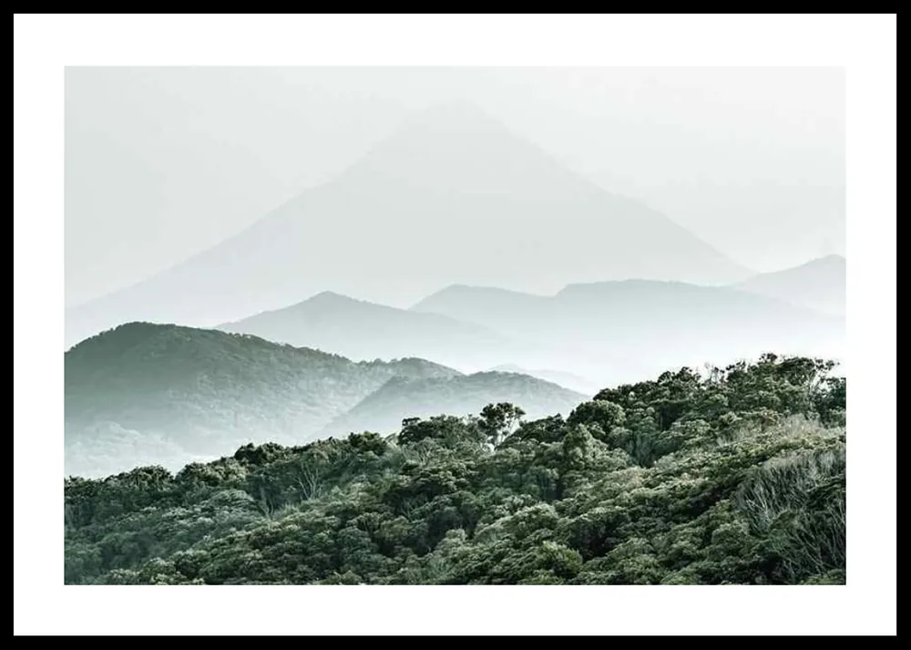 Mountain Forest Poster Bestseller
