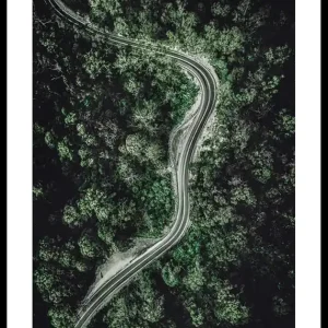 Sofort Bestellen Forest Road Poster