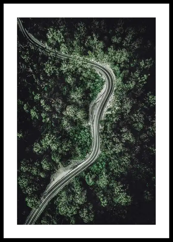 Sofort Bestellen Forest Road Poster