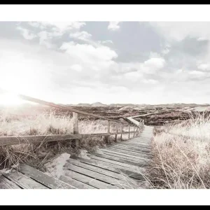Amongst Grass Poster Saisonangebot