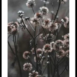 Forest Flowers Poster Versand Am Gleichen Tag