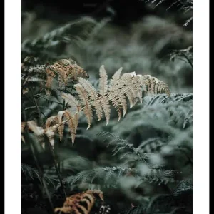Fern No2 Poster Sale