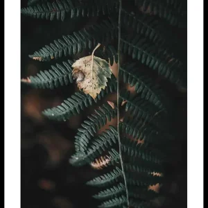 Top-Angebot Fern No1 Poster