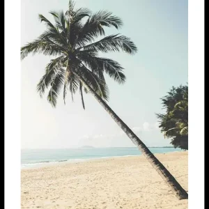 Leaning Palm Poster Nur Heute