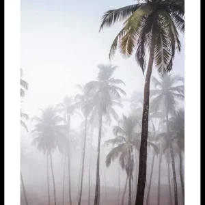 Palms In Haze Poster Kostenfreie Lieferung