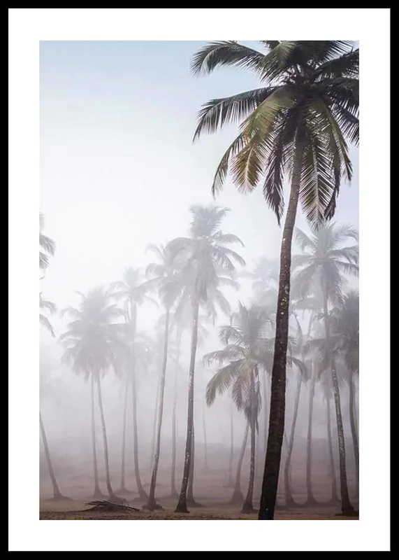 Palms In Haze Poster Kostenfreie Lieferung