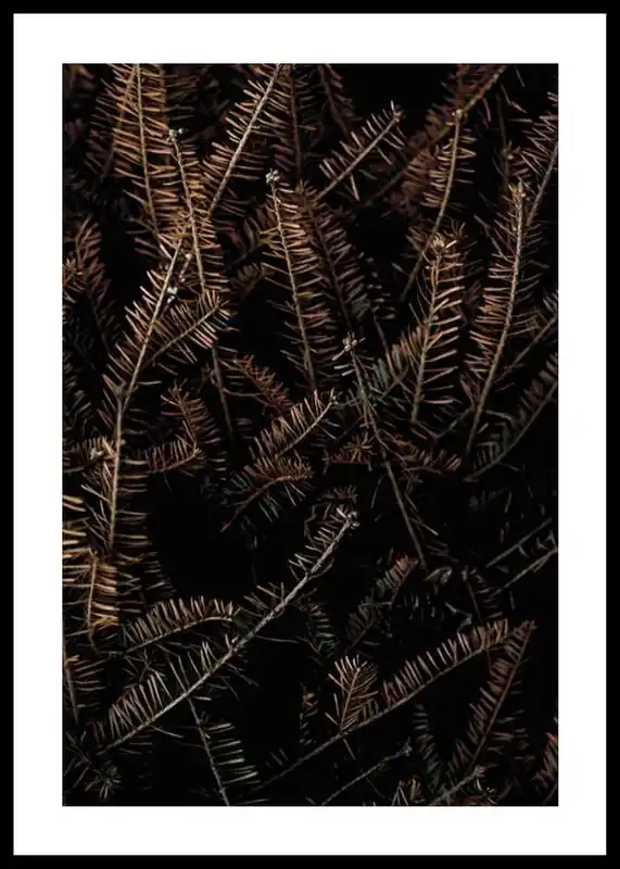 Neue Ware Fir Needle No1 Poster