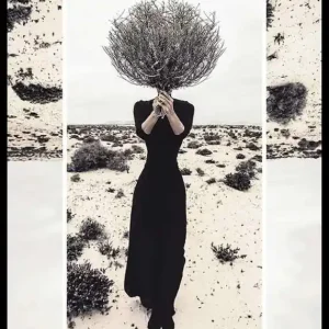 Behind The Bush Poster Online Kaufen
