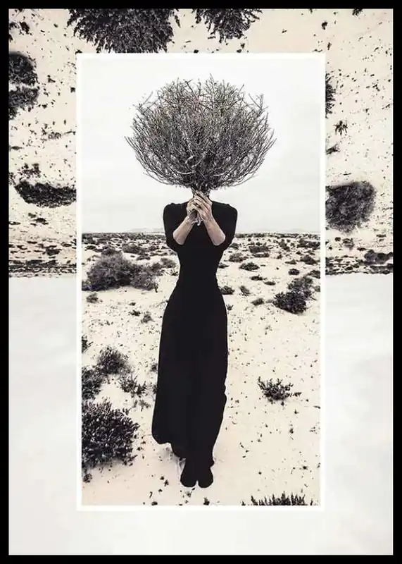 Behind The Bush Poster Online Kaufen