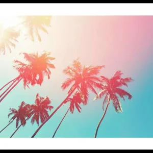 Colorful Palms Poster Günstig