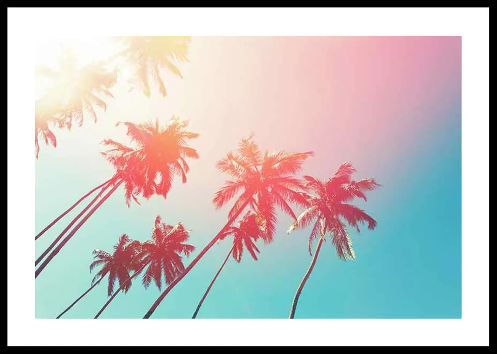 Colorful Palms Poster Günstig