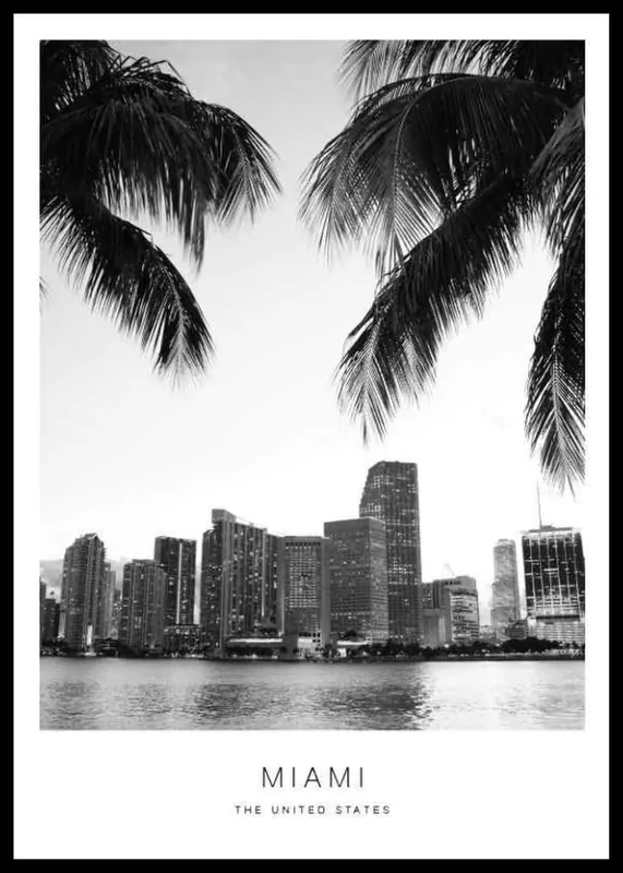 Preisknaller Miami Poster